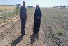 بازدید از مزارع ذرت پهنه ی تحت نظارت در مورچه خورت در روز ۷مردادماه ۱۴۰۵