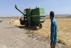 بازدید کارشناس زراعت مدیریت جهاد کشاورزی شهرستان نائین از عملیات برداشت گندم در مزارع ورزجان و معاضدیه