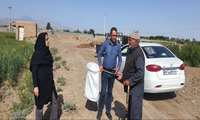 بازدید کارشناسان حفظ نباتات از مزارع گندم و جو بخش امامزاده _بادرود