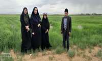 بازدیدکارشناسان زراعت سازمان از مزارع بذری گندم وجو در شهرستان