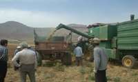 برگزاری دوره دو روزه برداشت مکانیزه و کنترل ضایعات گندم در شهرستان خوانسار