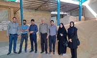 بازدید از مرکز خرید تضمینی گندم شرکت آشیان گزدر روز شنبه مورخ ۱۳تیرماه ۱۴۰۵