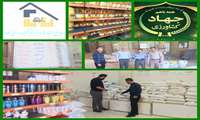 تشدید نظارت بر شاهرگ‌های اقتصادی فریدن؛ بازرسی ضربتی از انبارها و مراکز عرضه کالا