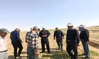 از پایش میدانی تا دستورالعمل ضربتی کانون‌های آلودگی کرم برگ‌خوار پاییزه؛ صدور دستور فوری برای مهار آفت و حفاظت از مزارع ذرت