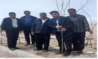اجرای پویش «سرو ایران» در شهرستان ورزنه؛ کاشت ۱۲۱۰ اصله نهال در روستای کفران