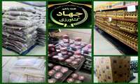 گشت فوق العاده نظارت و بازرسی 