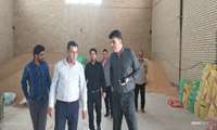 بازدید مدیر و رئیس اداره امور دام مدیریت جهاد کشاورزی شهرستان نائین از تعاونی گوسفندداران و شترداران شهرستان