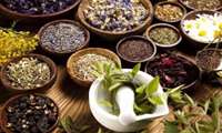 کاشت گیاهان دارویی در 65 هکتار از اراضی کشاورزی شهرضا