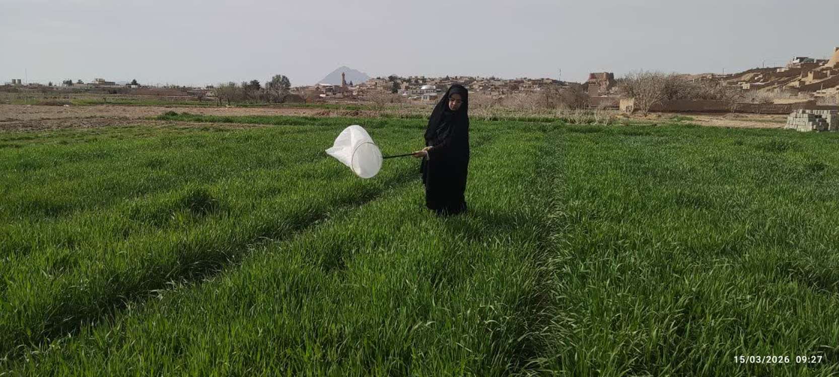 کچو2_2 