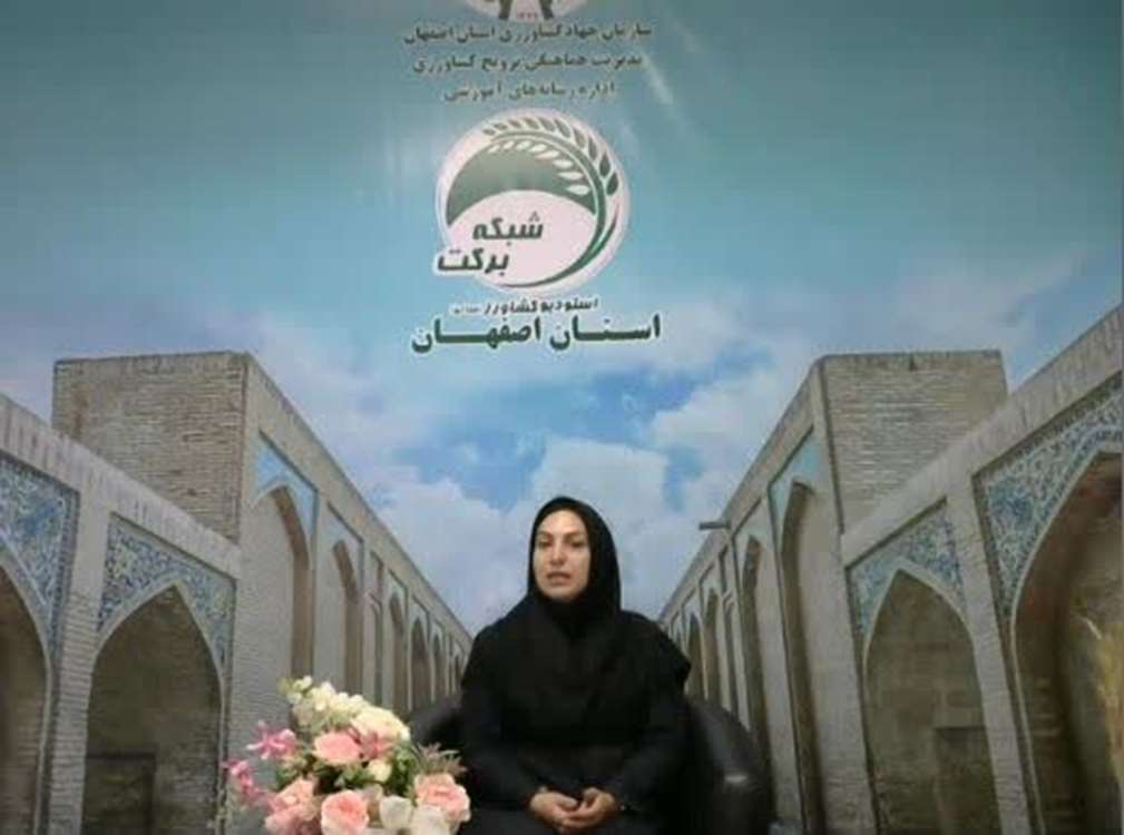شبکه برکت اصفهان