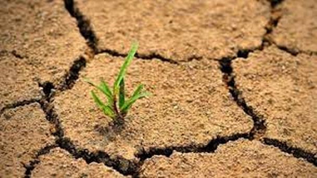 پیش‌نویس ضوابط اجرایی پیشگیری از تخریب خاک نهایی‌سازی می‌شود/ رعایت الزامات حفاظت از خاک در طراحی و اجرای پروژه‌ها
