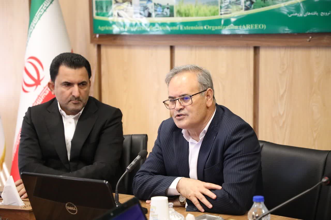 اولویت‌های پژوهشی تولیدات دامی به مسیر اجرا متصل می‌شود/ تصمیم‌سازی برای حل مسائل واقعی تولید
